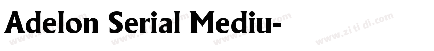 Adelon Serial Mediu字体转换